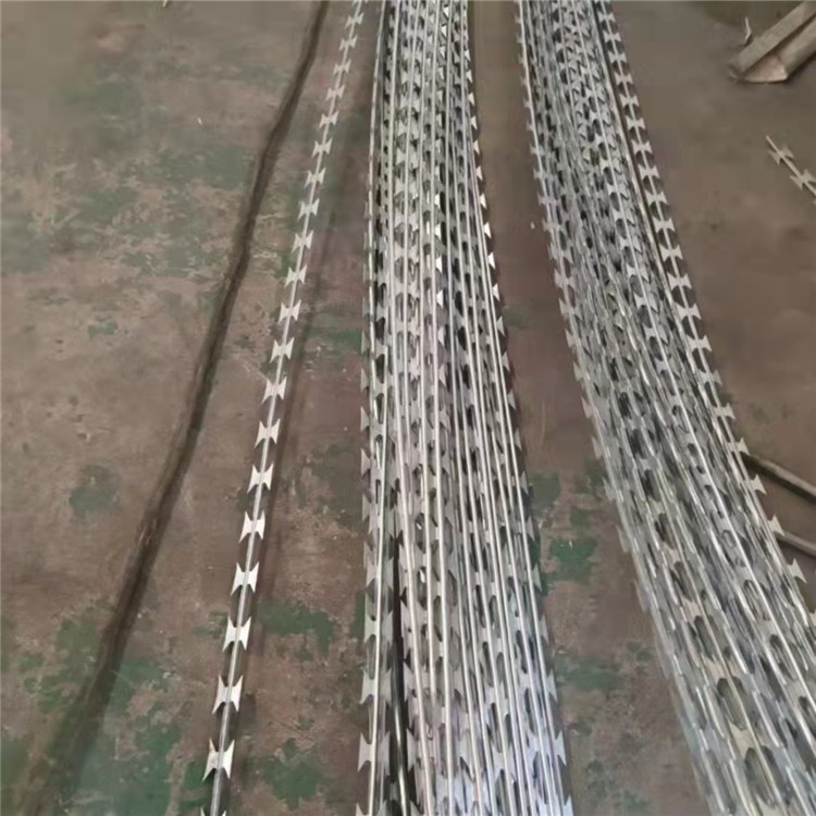 上海    直條型刀片刺網(wǎng)案例